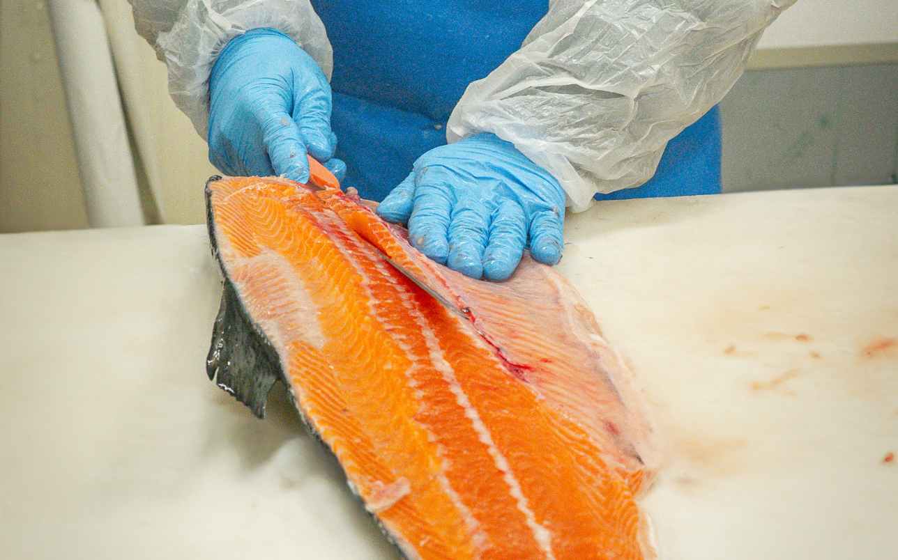 pescheria